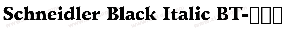 Schneidler Black Italic BT字体转换